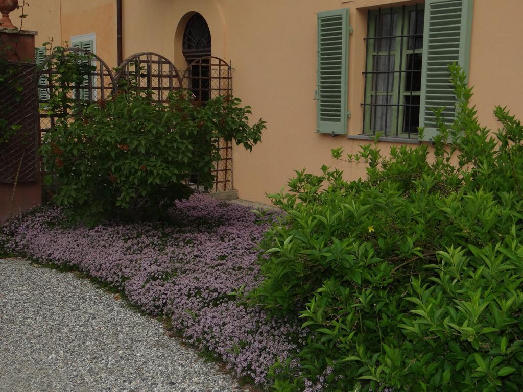 B&B Il Quadrifoglio Sciolze エクステリア 写真